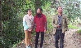 花山情在线观看,穿越时空的浪漫邂逅